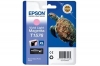 211264 - Cartuccia d'inchiostro originale magenta chiaro e vivace T157XL, T157640 Epson